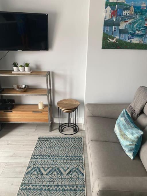 Luxury Mumbles View Studio Apartment سوانسي المظهر الخارجي الصورة