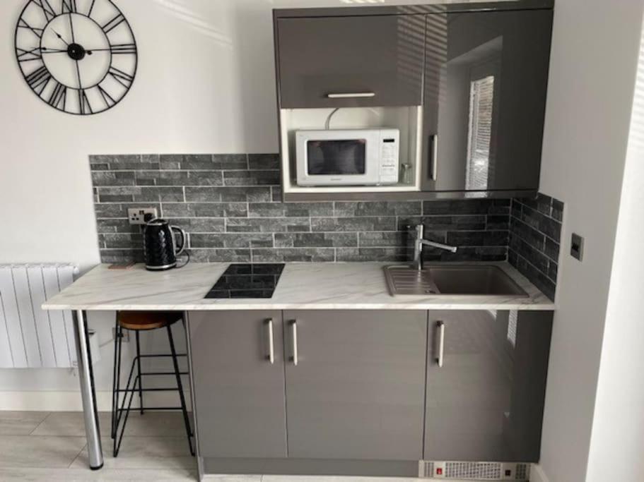 Luxury Mumbles View Studio Apartment سوانسي المظهر الخارجي الصورة
